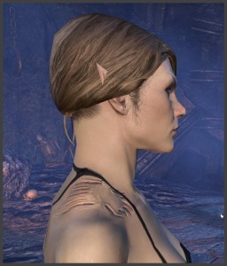 Shoulder scars - bite marks?